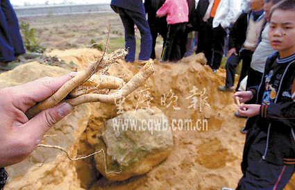 �������ǰ���ڸ���������е��ܿ�ϧ