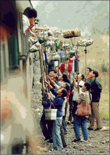 当地主要经济产业(我每次坐火车回家都会看到上面这样的画面)