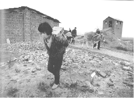 ����ʡ��Ȫ�سǹ������ϼҴ�11�����С��Ϊ������ѧ