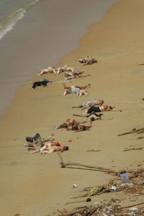 ��Х�����𺳵�����ͼƬ