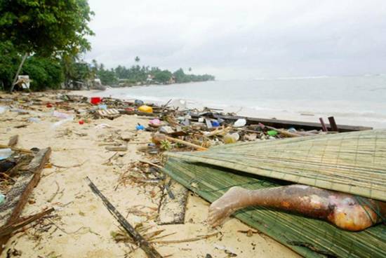 ��Х�����𺳵�����ͼƬ