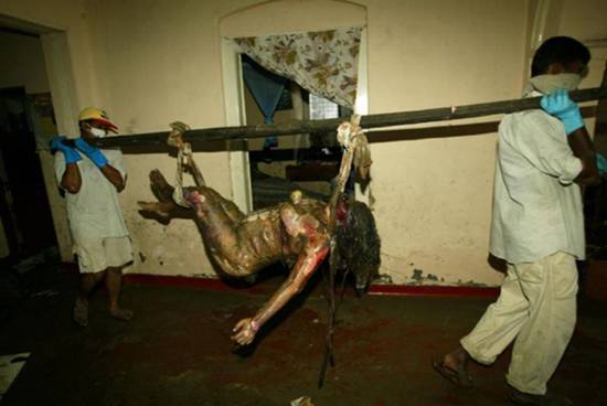 ��Х�����𺳵�����ͼƬ