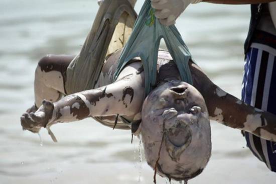 ��Х�����𺳵�����ͼƬ