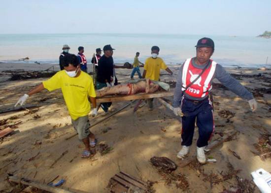 ��Х�����𺳵�����ͼƬ