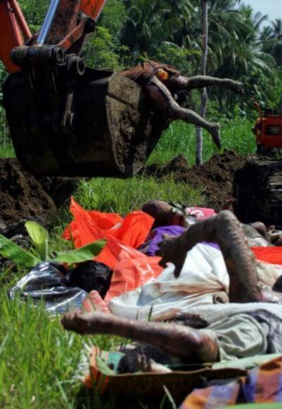 ��Х�����𺳵�����ͼƬ