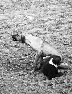 �����Ϻ���С�ĵ�������