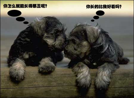 èè���������ɰ��Ķ���