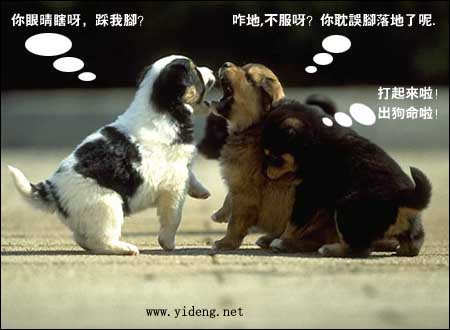 èè���������ɰ��Ķ���