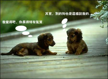 èè���������ɰ��Ķ���