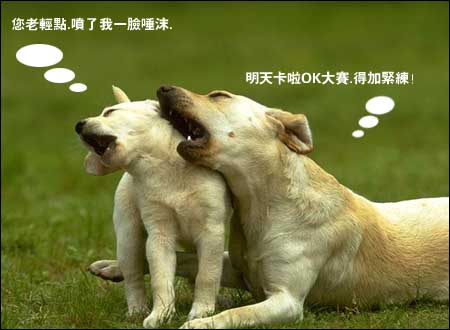 èè���������ɰ��Ķ���