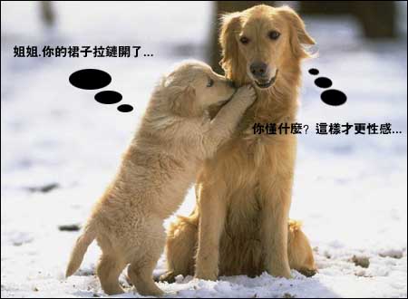 èè���������ɰ��Ķ���