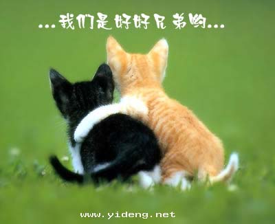 èè���������ɰ��Ķ���