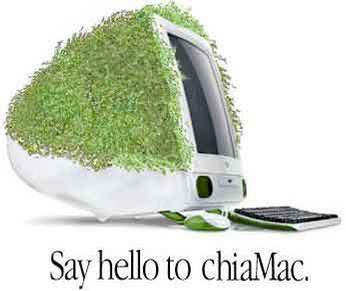 ��ɫ����